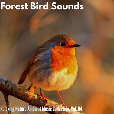 Forest Bird Sounds - Relaxing Nature Ambient Music Collection, Vol. 04's cover