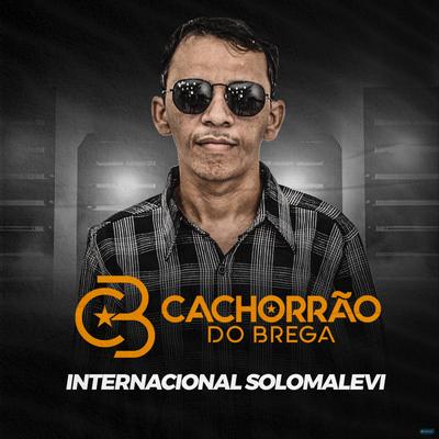 Internacional Solomalevi (Ao Vivo) By Cachorrão do Brega's cover