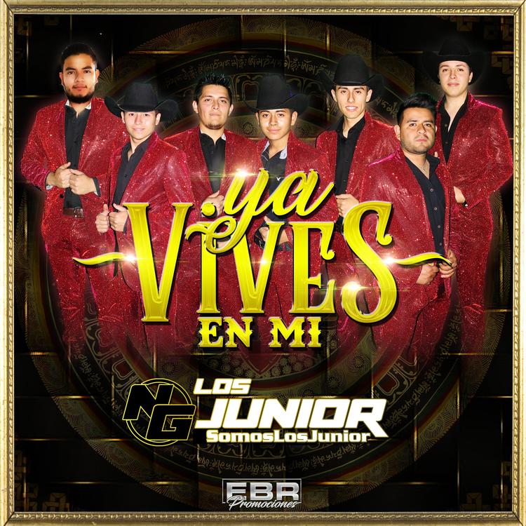 Los Junior NG's avatar image