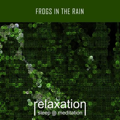 Frogs in the Rain By Relaxation Sleep Meditation's cover