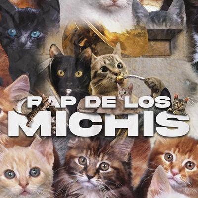 Rap de los Michis By Pablo Bruschi's cover