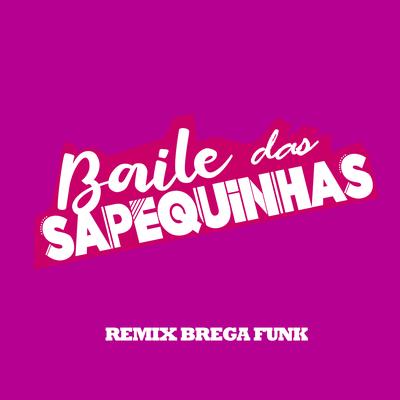 Baile das Sapequinhas (Remix Brega Funk)'s cover