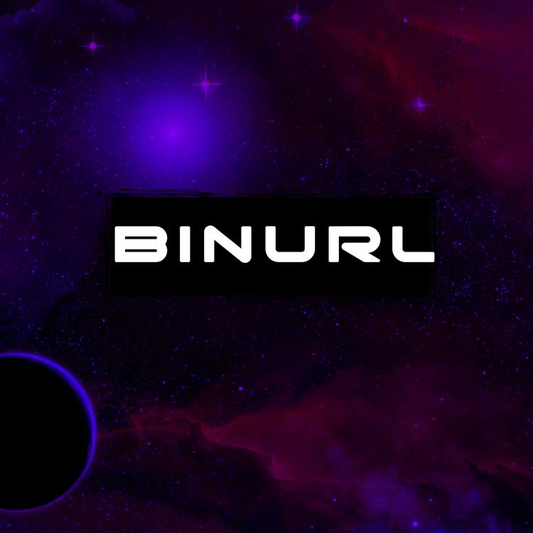 BINURL's avatar image