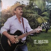 Zé Paulista's avatar cover