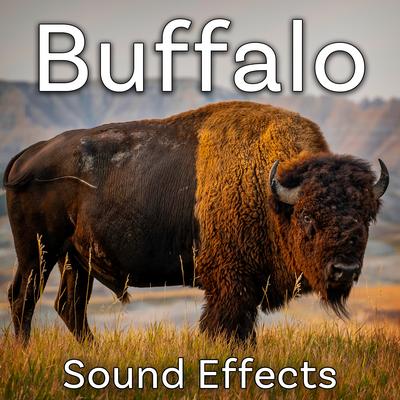 Buffalo: Deep, Raspy, Throat Growls's cover