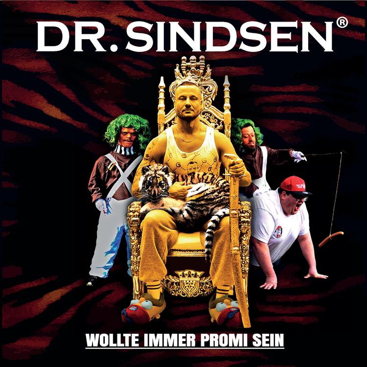 Dr.Sindsen's avatar image