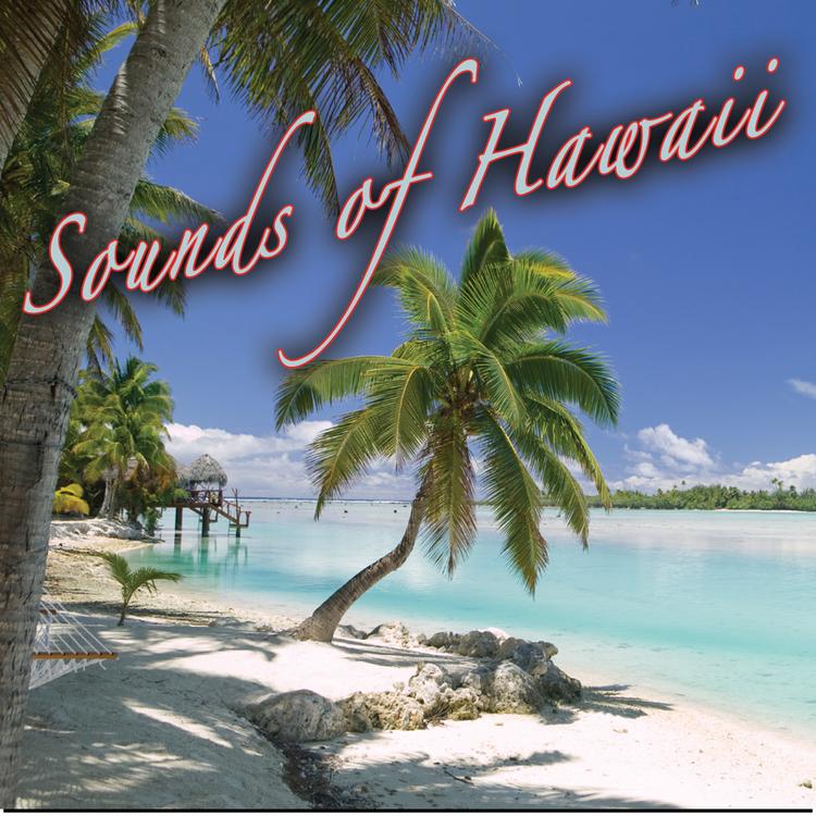 The Hawaiian Rainbow Ensemble's avatar image
