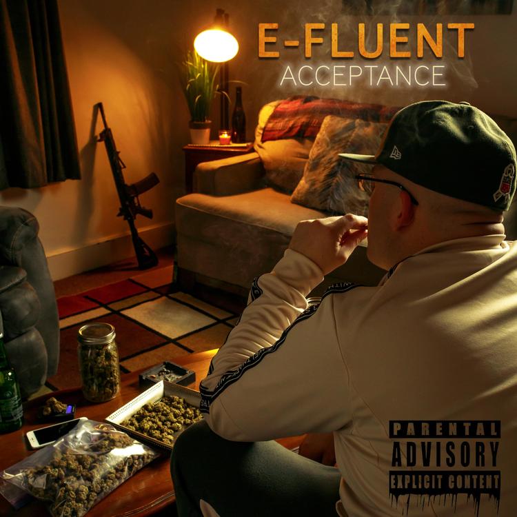 E-Fluent's avatar image