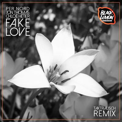 Fake Love (Takt Rausch Remix)'s cover