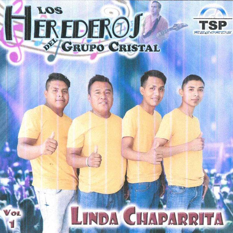 Los Herederos Del Grupo Cristal's avatar image