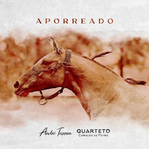 Quarteto Coração de Potro's cover