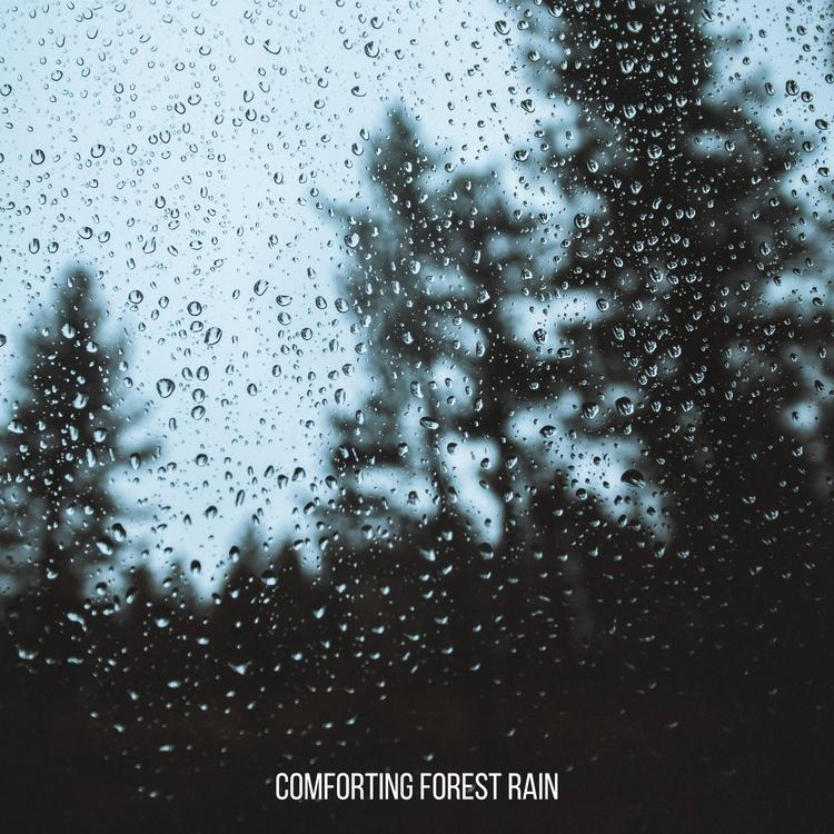 Rain Sleep Sounds's avatar image