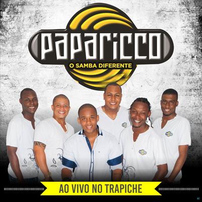 Não Foi a Toa (Ao Vivo) By Paparicco's cover