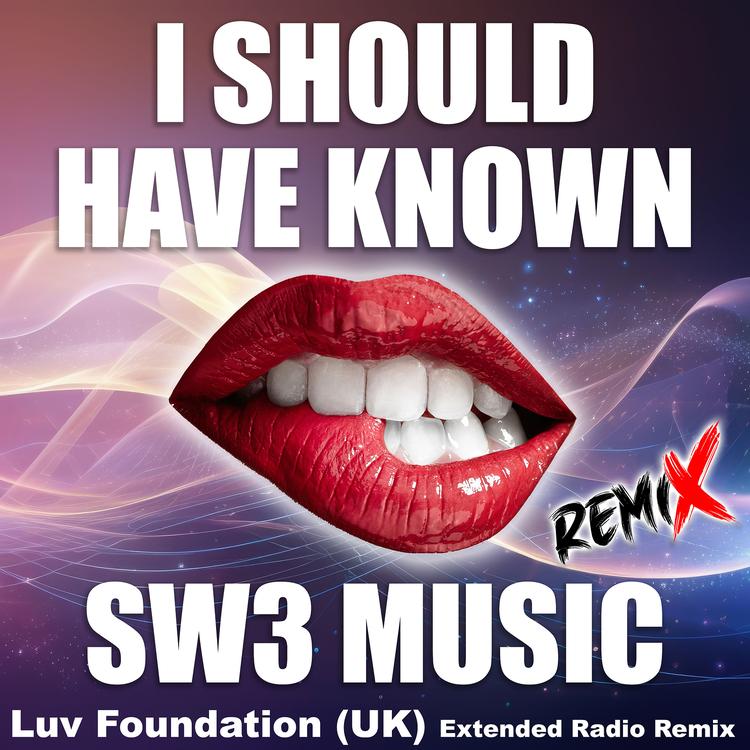 SW3 MUSIC's avatar image