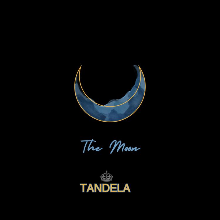Tandela's avatar image