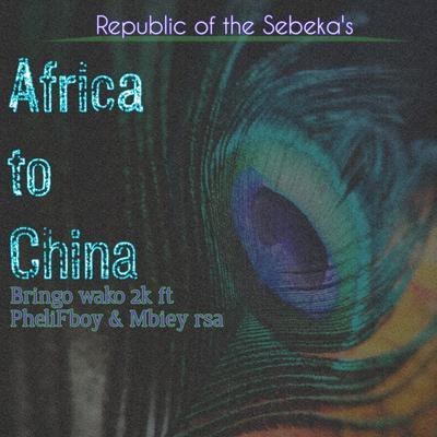Africa to China's cover