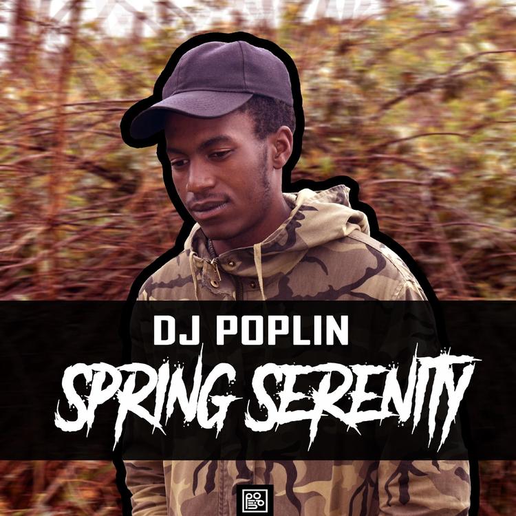 Dj Poplin's avatar image