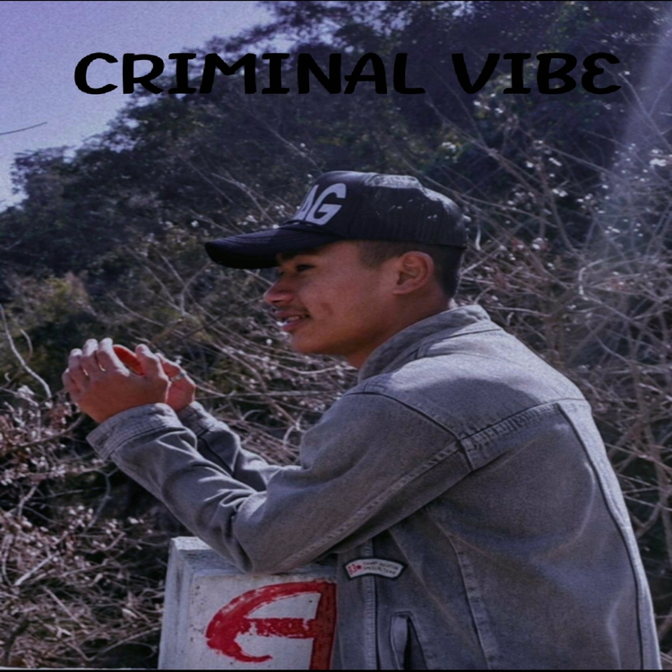 Criminal vibe's avatar image