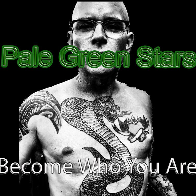 Pale Green Stars's avatar image