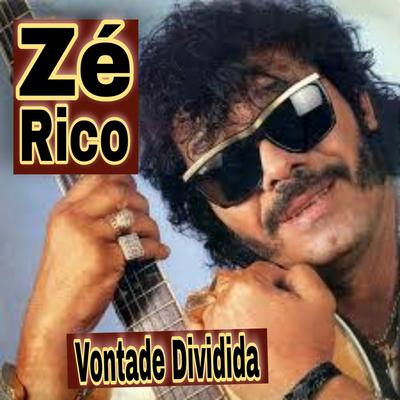 Viajante da Madrugada By Zé Rico's cover