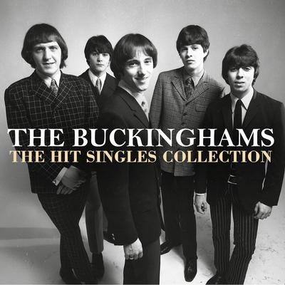 Kind of a Drag By The Buckinghams's cover