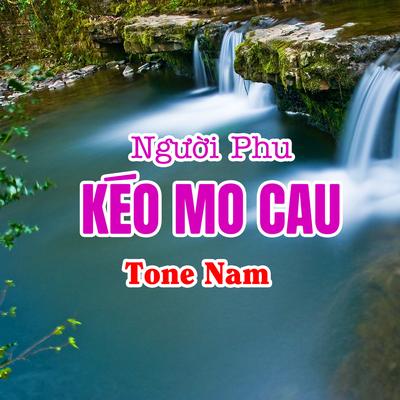 Nhạc Sống Thanh Ngân's cover