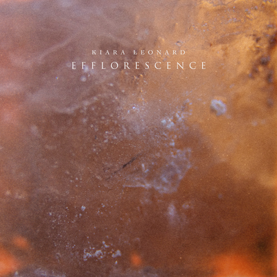 Efflorescence's cover