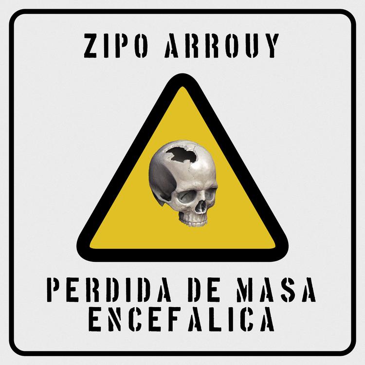 Zipo Arrouy's avatar image