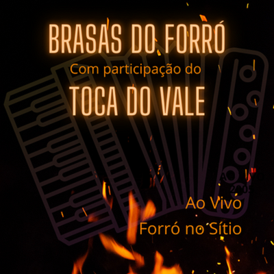 O Campeão / Vou Matar Você na Unha (Ao Vivo) By Brasas Do Forró, Toca do Vale's cover
