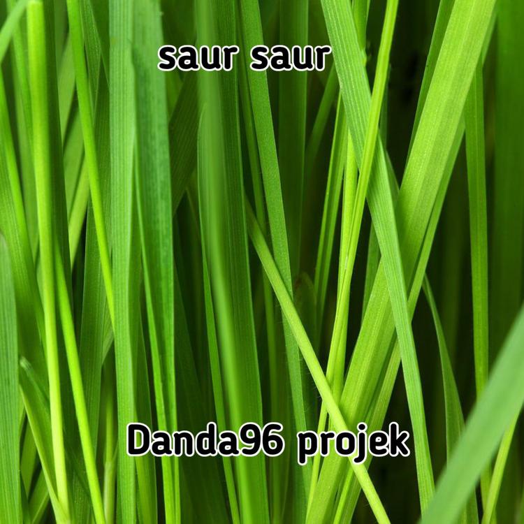 Danda96 Projek's avatar image