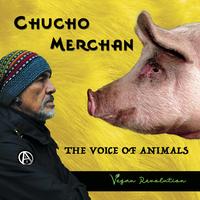 Chucho Merchan's avatar cover