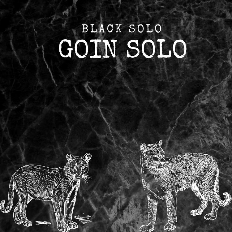 Black Solo's avatar image