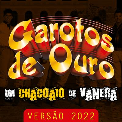 Fogo Na Roseira By Garotos de Ouro's cover