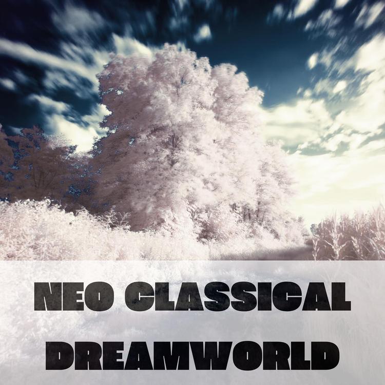 Neo Class Orchestra's avatar image