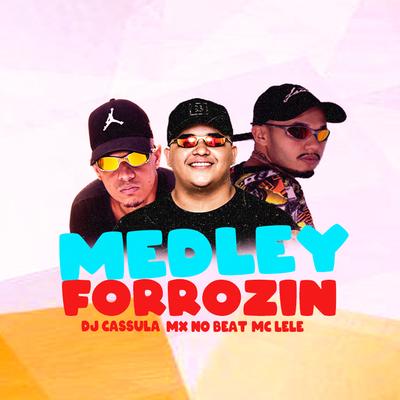 Medley Forrozin's cover