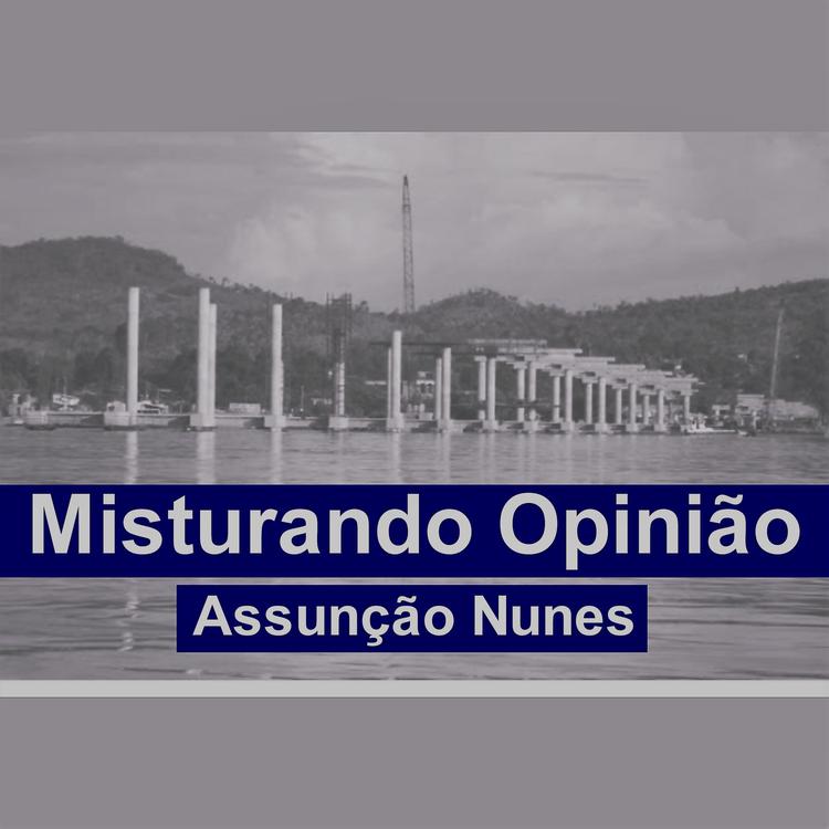 Assunção Nunes's avatar image