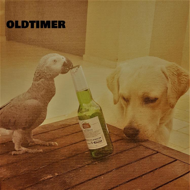 Oldtimer's avatar image