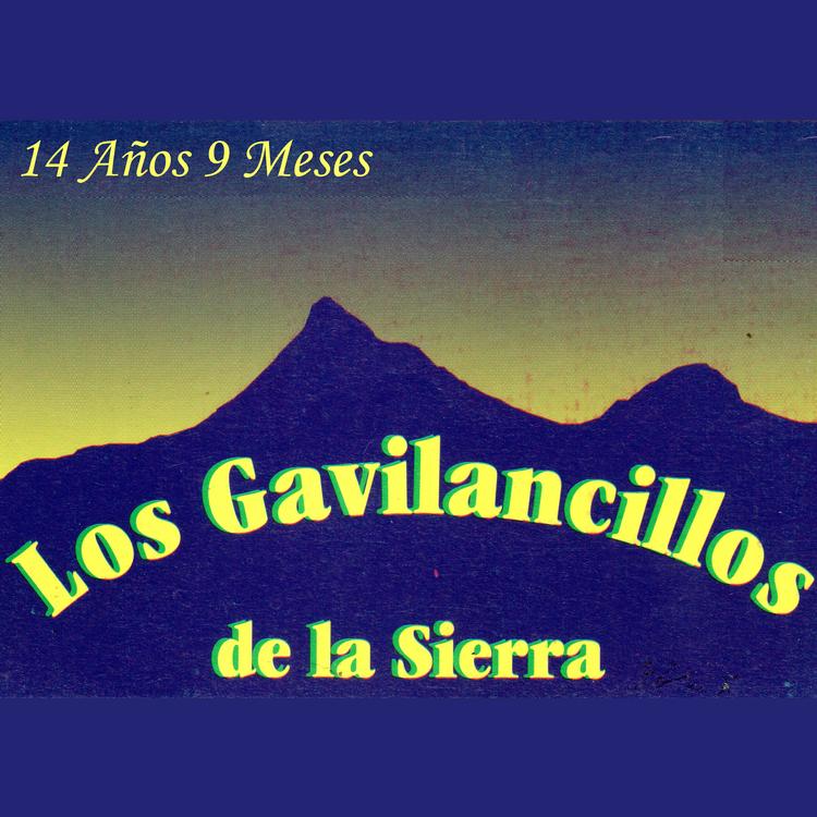 Los Gavilancillos de La Sierra's avatar image