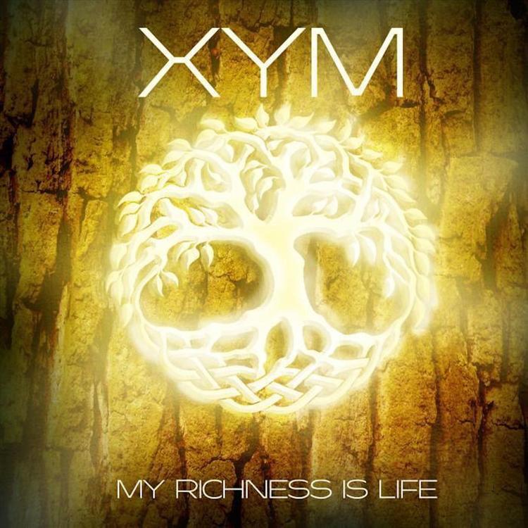 XYM's avatar image
