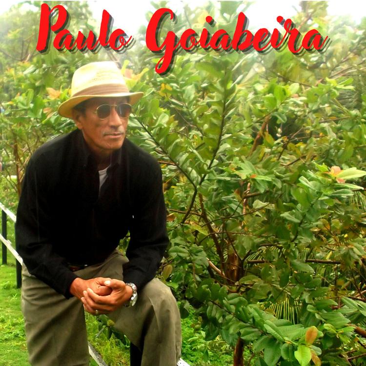 Paulo Goiabeira's avatar image