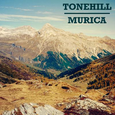 Tonehill's cover