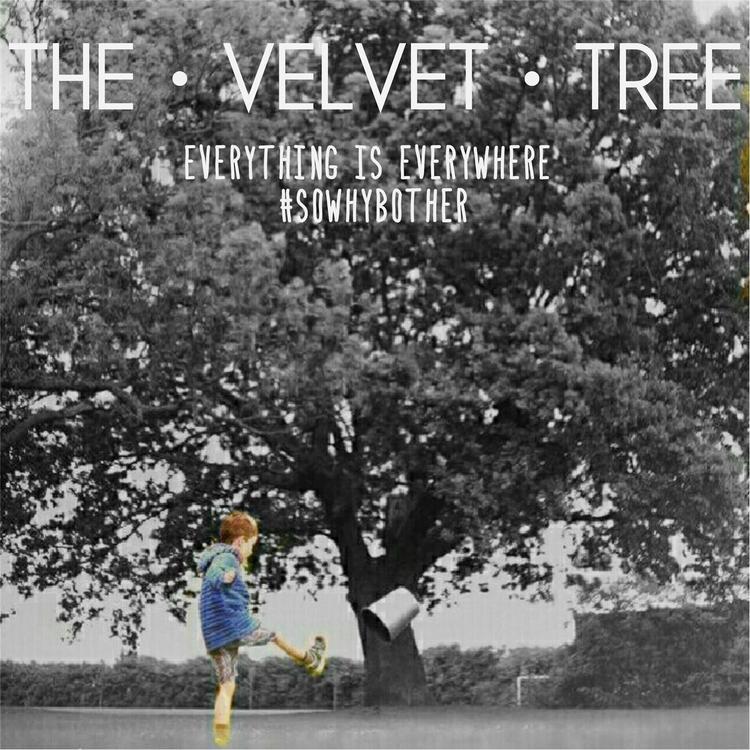 The Velvet Tree's avatar image