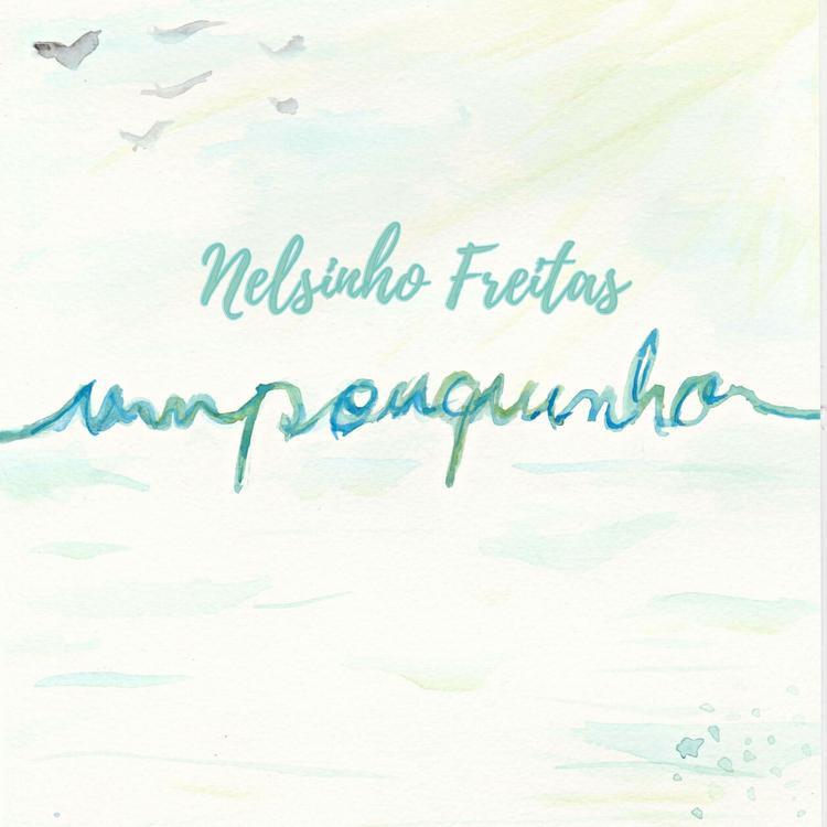 Nelsinho Freitas's avatar image