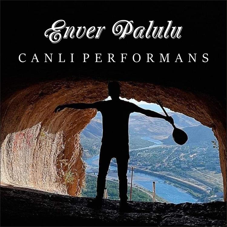 Enver Palulu's avatar image