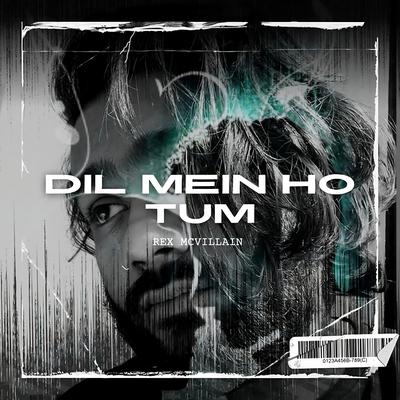 Dil Mein Ho Tum's cover