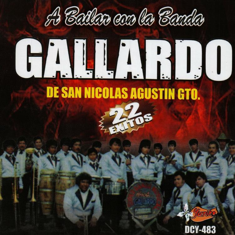 Banda Gallardo De San Nicolas Agustin Gto's avatar image