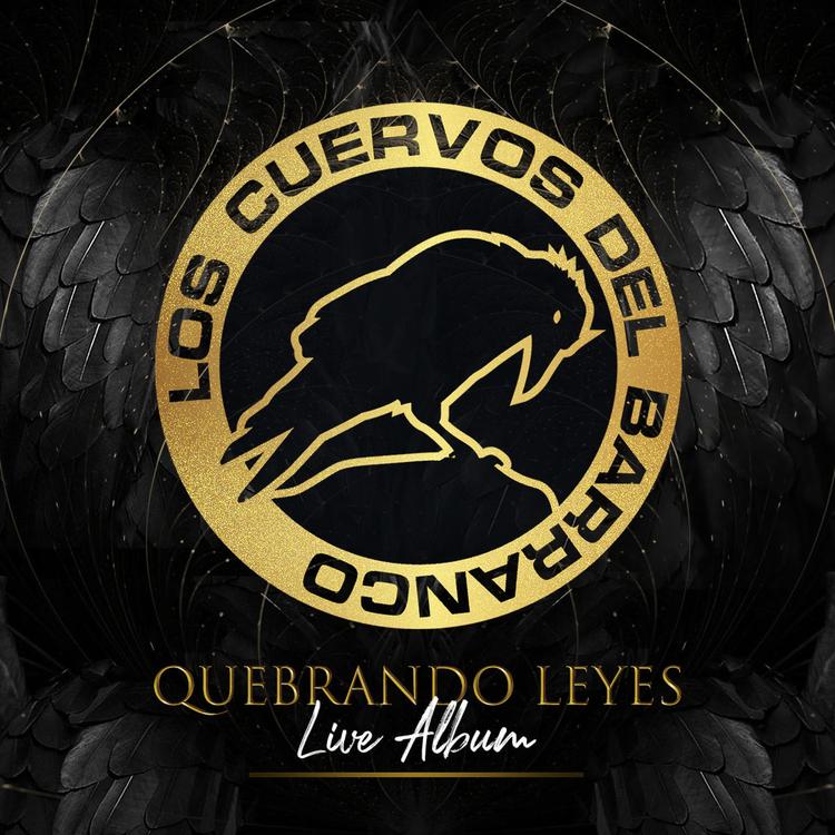 Los Cuervos Del Barranco's avatar image