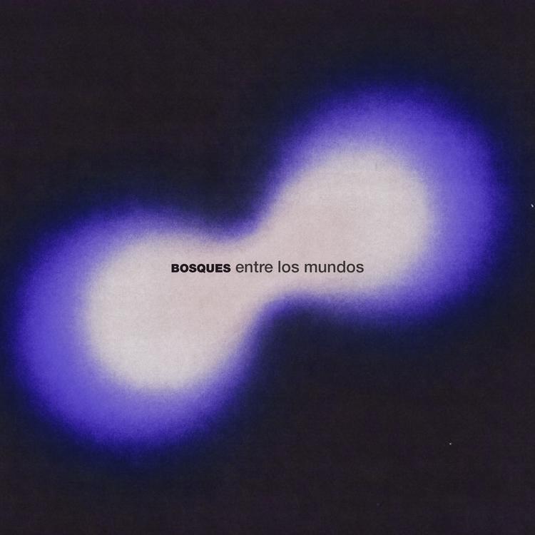 Bosques's avatar image