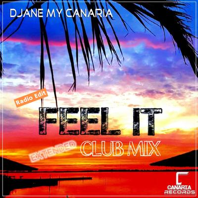 Feel It (Extended Club Mix)'s cover