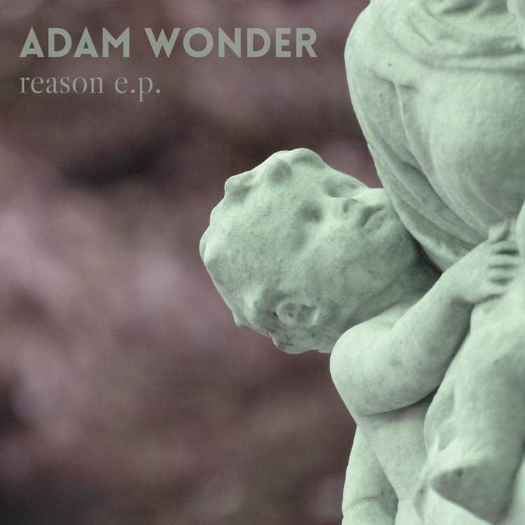 Adam & Wonder's avatar image